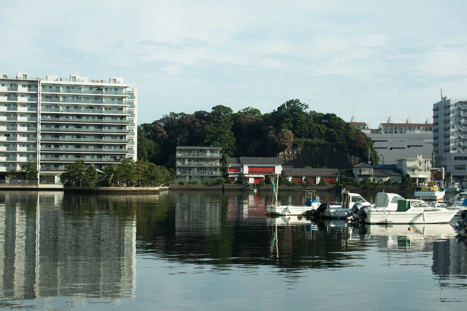 水辺越しに見た街並み。左に高層マンション、中央に緑の茂った小高い丘、丘の手前に赤い装飾の目立つ建物(用途不明)、右手前には複数の係留艇が浮かぶ。丘は擁壁で補強されている。