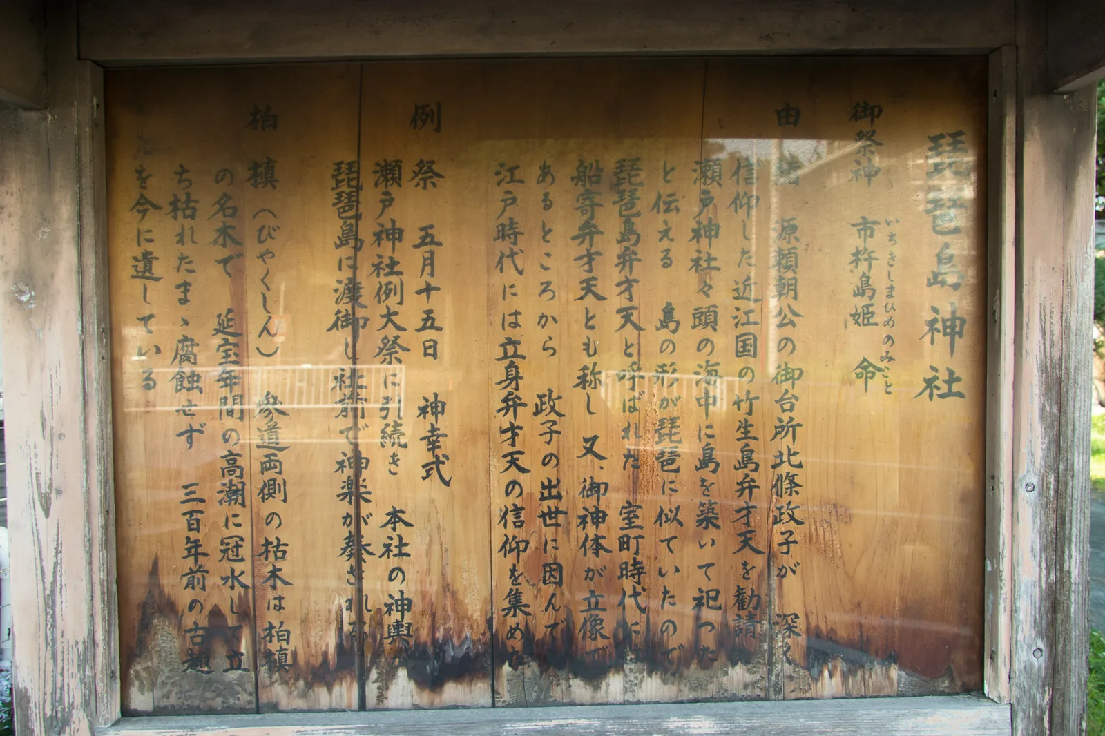神社の由緒書きの木製案内板。「琵琶島神社」の表題のもと、御祭神(市杵嶋姫命)、由緒(源頼朝・北条政子との関わり、琵琶島弁才天の伝承)、例祭日、柏槙の名木についての説明文が墨書きされている。経年劣化で下部が変色しているが判読可能。
