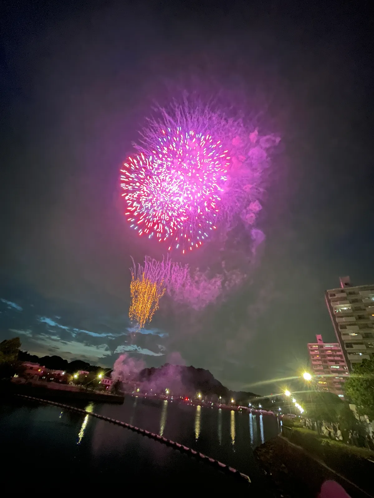 夜、船溜り付近から見た花火大会の写真。大きなピンク・マゼンタ色の花火が夜空いっぱいに開き、下には金色の花火が重なる。手前の水面に花火の光が反射し、右側には団地の建物、手前には観覧する人々の列が写っている。